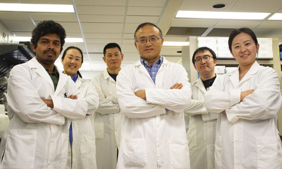 Wenjun Ma and his co-authors in the lab.