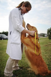 Help Educate Future Veterinarians