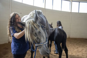 Veterinary technicians assist veterinarians in caring for both domestic companion animals and large farm animals, aiding with surgeries, farm calls, blood tests and routine care.