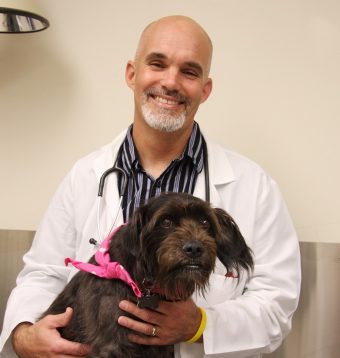 Jeffrey Bryan is a professor in the MU College of Veterinary Medicine.