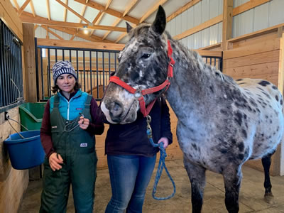 Richard and Marti Hodge Give Back to Equine Hospital