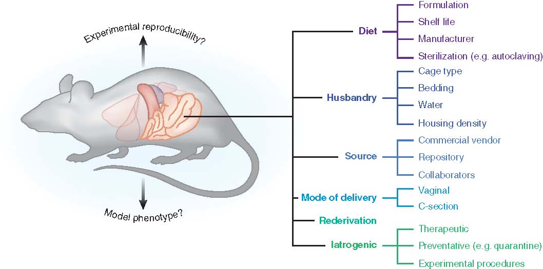 Our Research // College of Veterinary Medicine