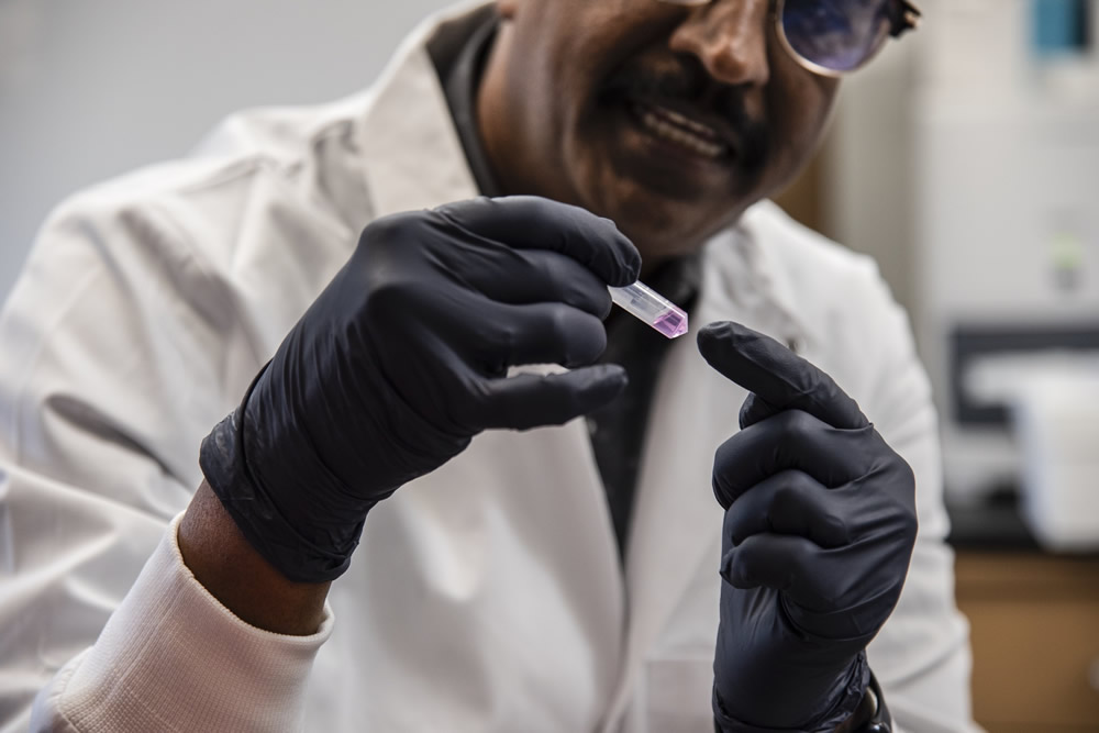 Roman Ganta inspects a sample of cultures that is grown in order to generate a pellet that is then put under a microscope for closer observation. | Photo by Sarah Kiefer, Bond LSC