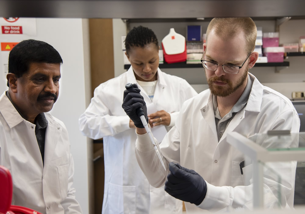 Ph.D. graduate student Jonathan Ferm (right) prepares a pipette with cultures to inject into a sample while Dominica Genda (left) takes notes on the process. | Photo by Sarah Kiefer, Bond LSC