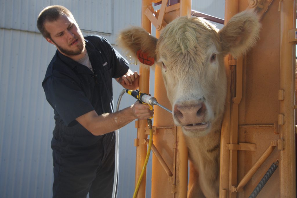 A collaboration between the MU College of Veterinary Medicine, MU Extension and the Missouri Small Business Development Center will offer business training to prospective veterinary practice owners in rural communities.