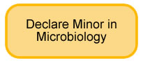 Declare Minor in Microbiology