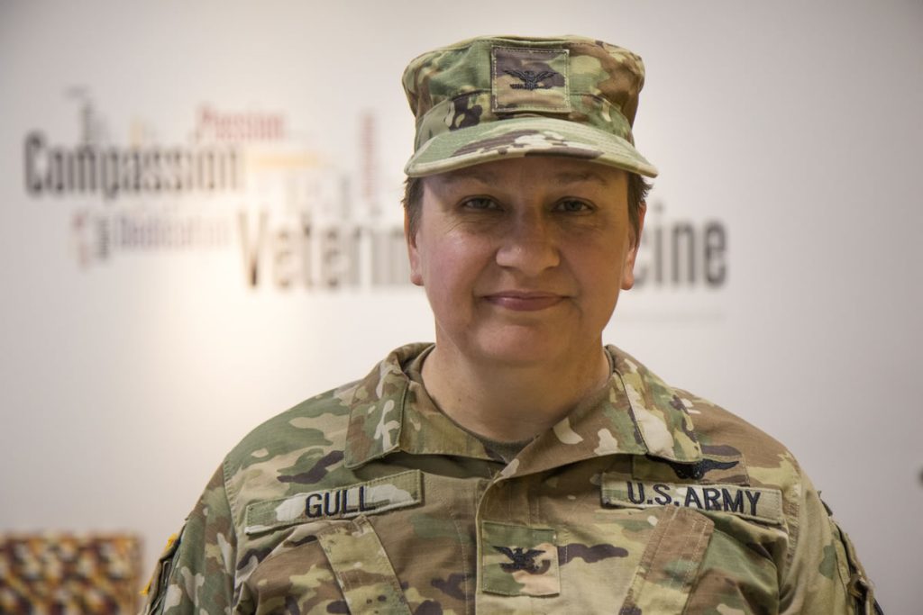 Tamara Gull, DVM, PhD, first joined the United States military in 1988. Fresh out of college, Gull became an active-duty member of the Navy, serving as a pilot for five years. 