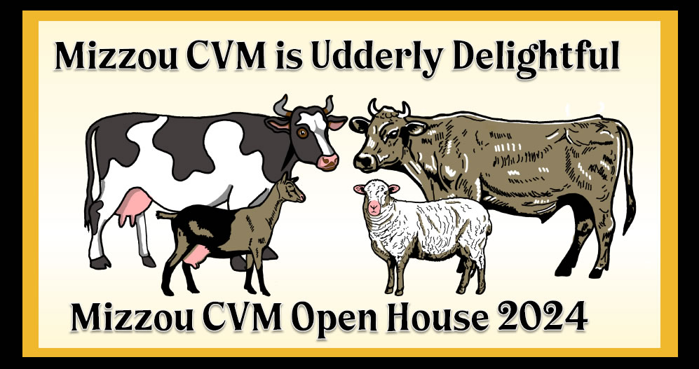 2024 CVM Open House