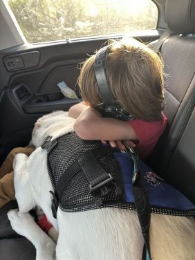 Impact of Service Dogs on the Well-being of Autistic Children, their Parents and Families