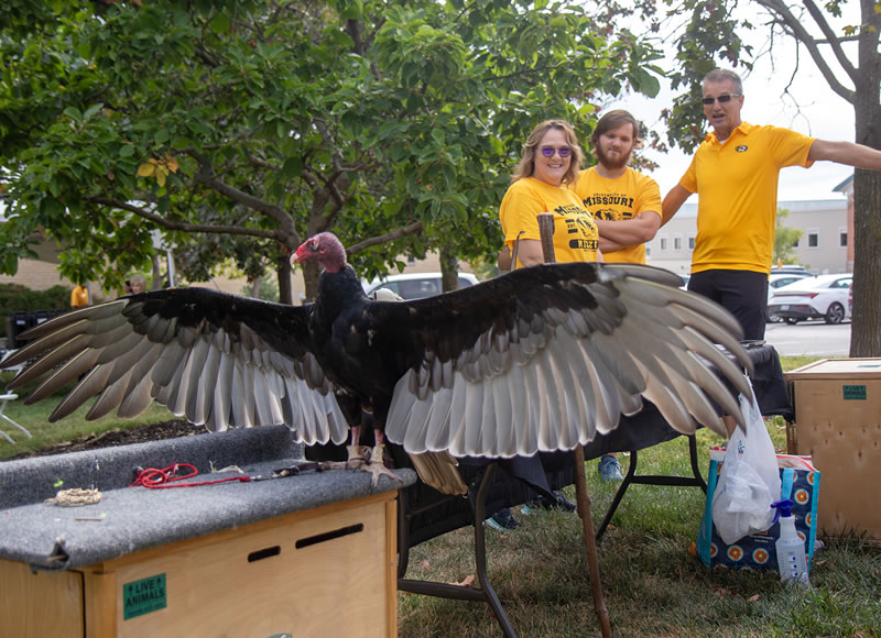 During the tailgate brunch, volunteers and birds with the Raptor Rehabilitation Project visited with CVM alumni.