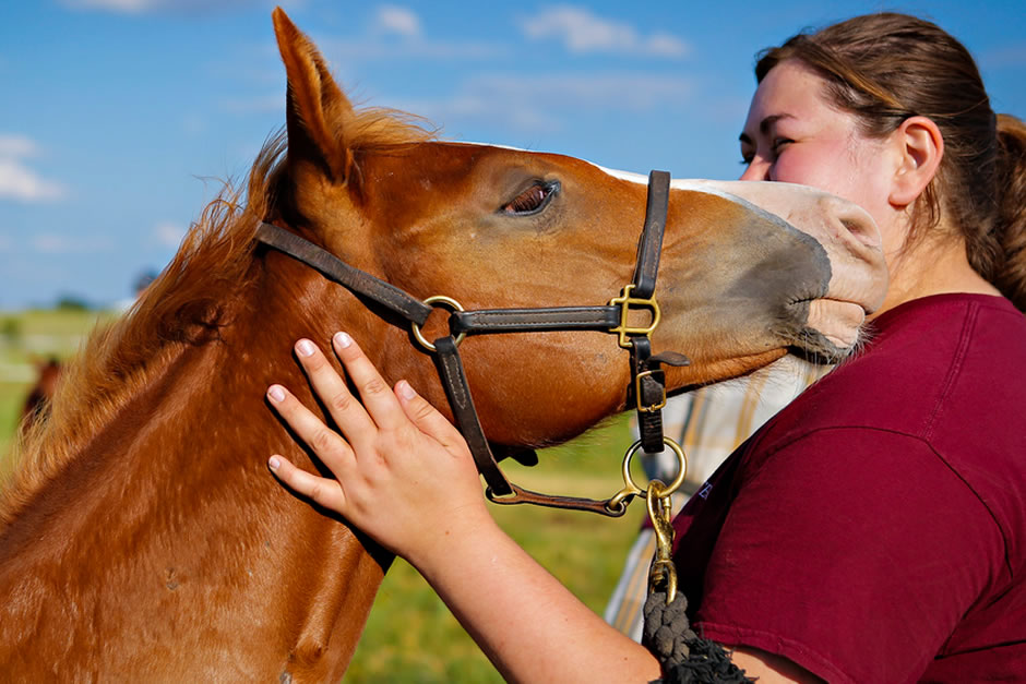 Equine Health Seminar