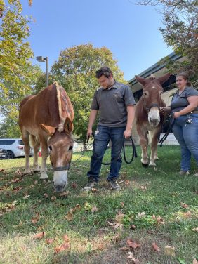 CVM Mules Tim and Terry were available for a meet and greet.