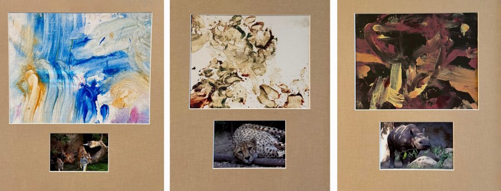 paintings made by a tiger, cheetah and rhino