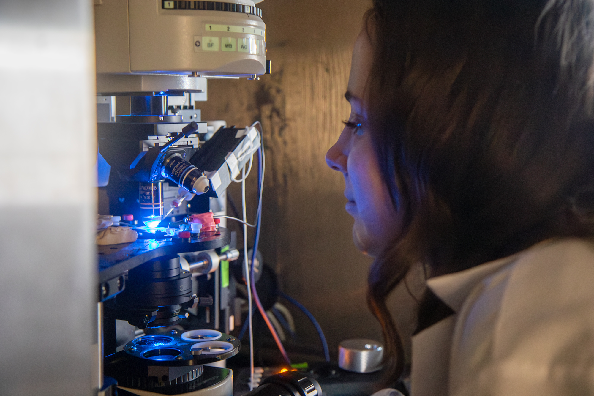 sandy saunders looks at something under a microscope