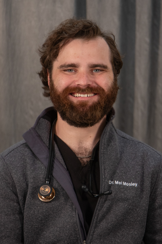 Mel Mosley