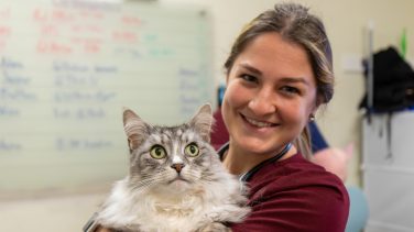 Jess Taylor Brune holding a cat.
