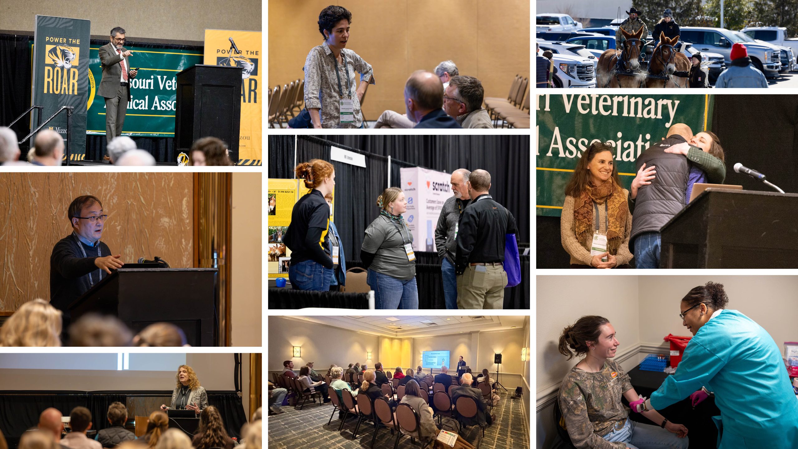 composite of event photo