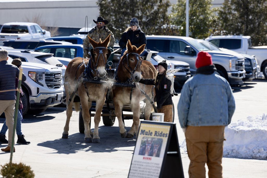 Mule Team giving rides in the parking lot