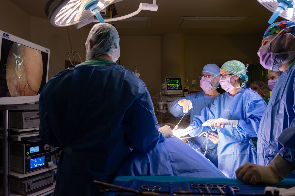 surgical oncology and soft tissue surgery teams in surgery.