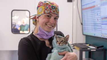 A woman in scrubs holding a cat