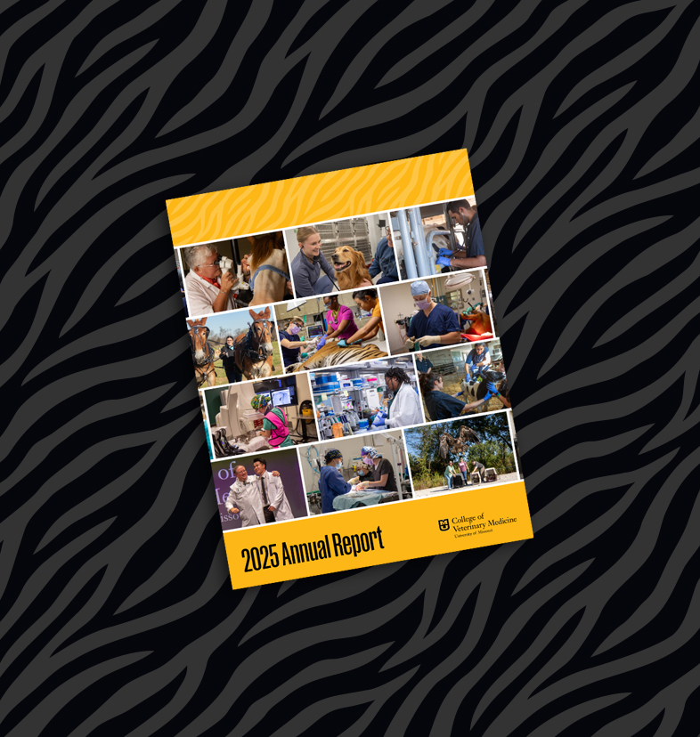thumbnail of the annual report cover