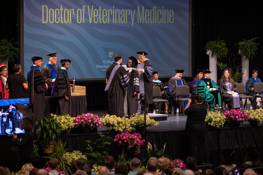 a woman gets hooded