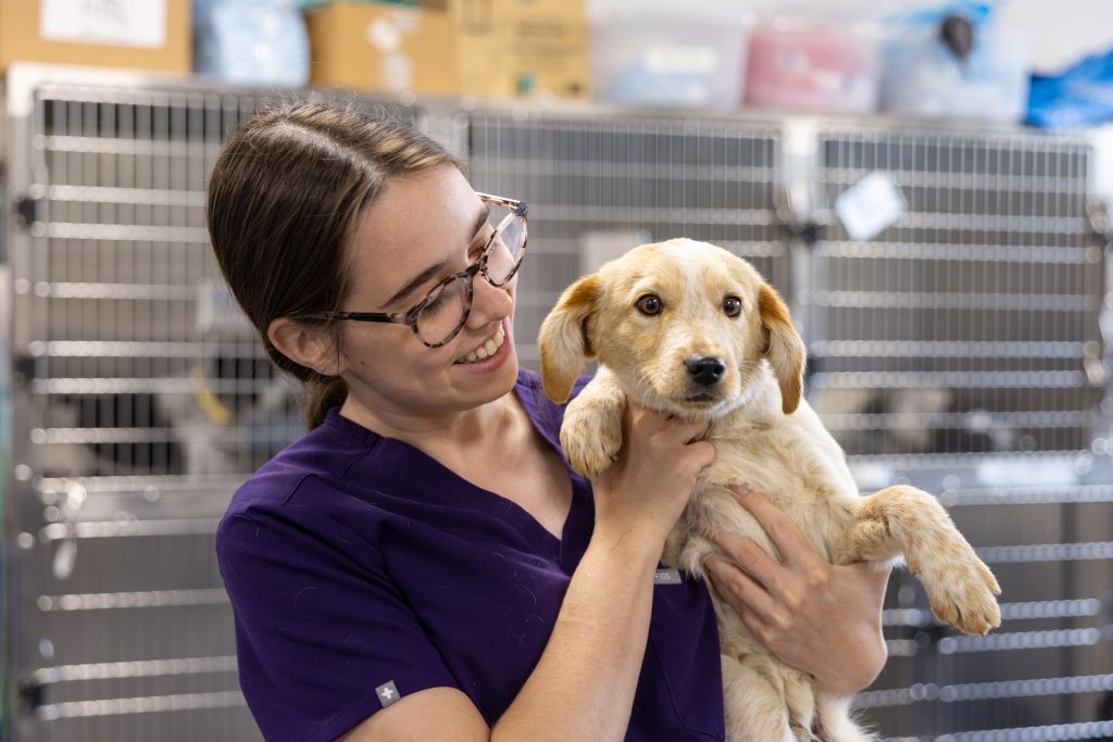 Kelsey Oliver and a shelter puppy