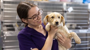 Kelsey Oliver holding dog
