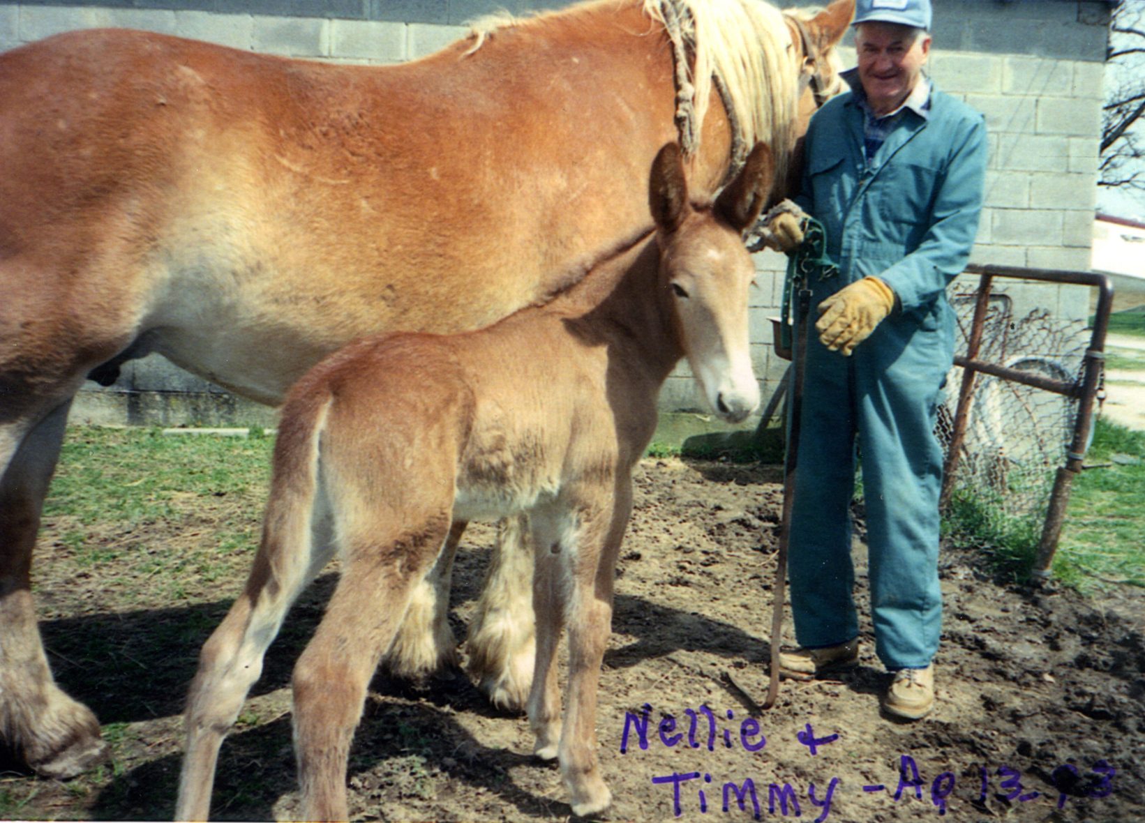 tim as a baby with his mom