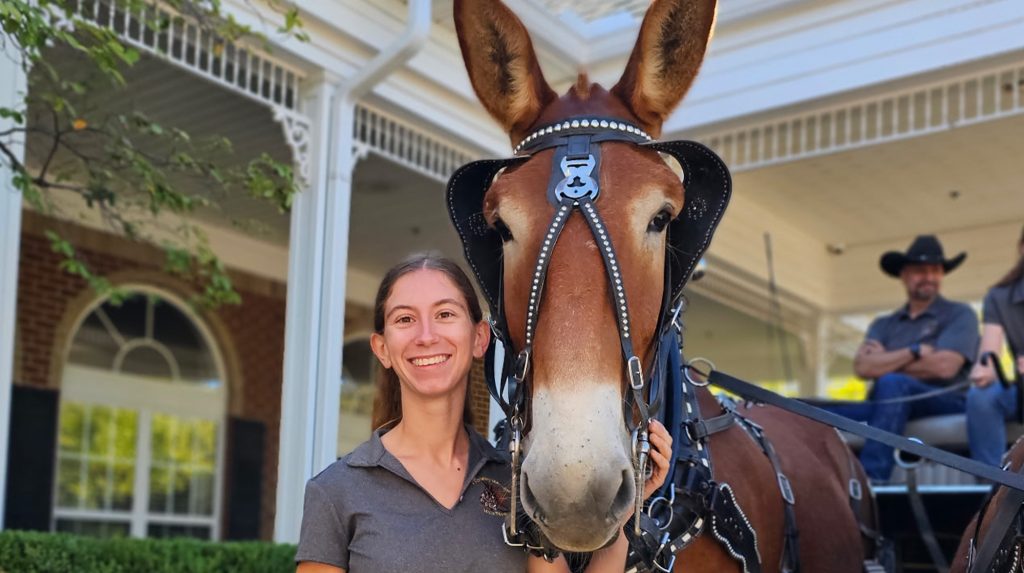 Sammi McNealy with one of the Mizzou ambassador mules.