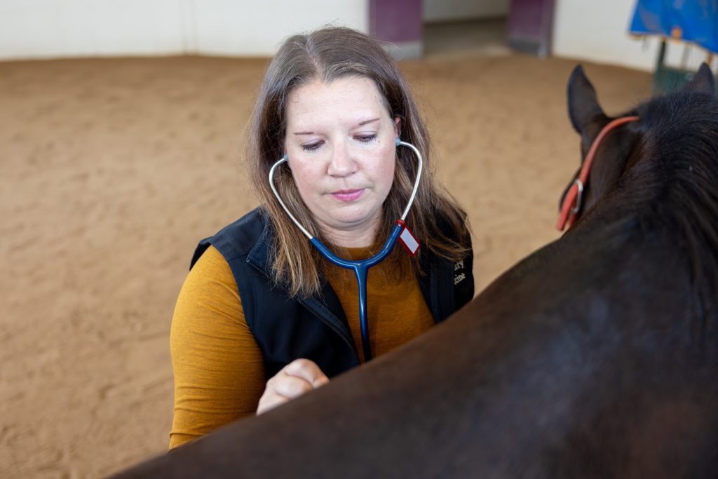 Hannah Leventhal photographed using a stethoscope on a horse.